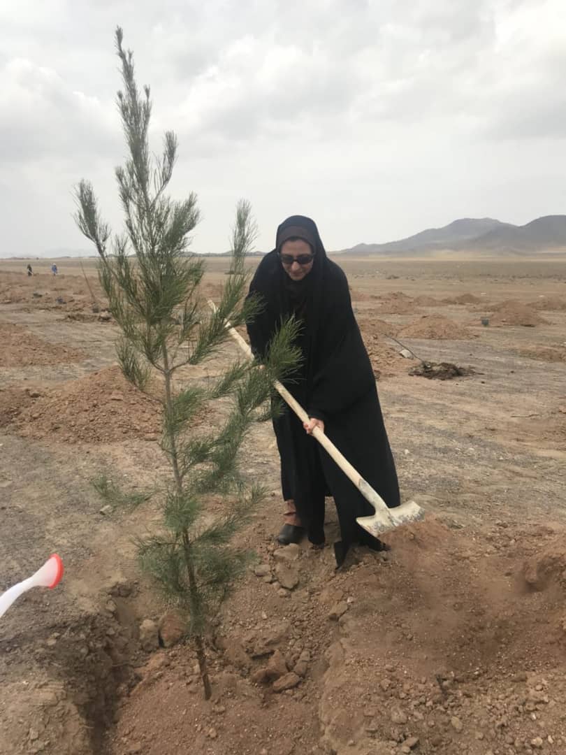 روز درختکاری